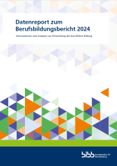 Datenreport zum Berufsbildungsbericht 2024